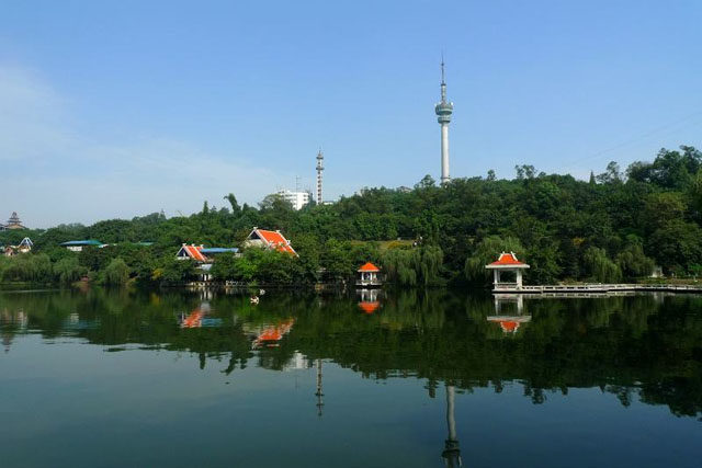 太平洋在线xg111(中国集团)有限公司官网